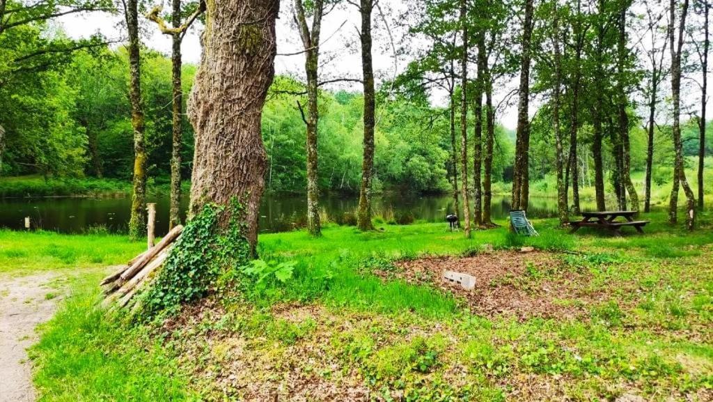 Cap Nature - T3 Et T4 En Perigord Vert - Ideal Pros Et Groupes Max 18P Champniers-et-Reilhac المظهر الخارجي الصورة